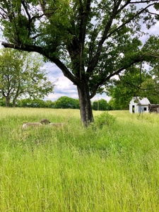 Cabin Site And Homestead In Southeast Oklahoma - image 19
