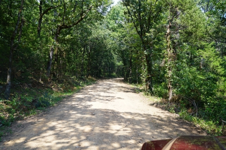 Cabin Site And Homestead In Southeast Oklahoma - image 7