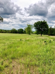 Cabin Site And Homestead In Southeast Oklahoma - image 18