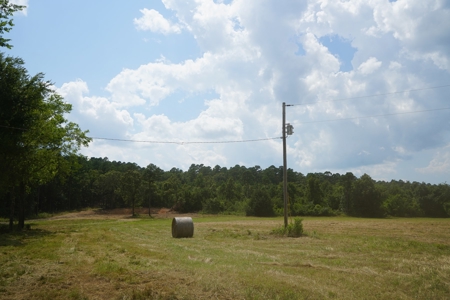 Cabin Site And Homestead In Southeast Oklahoma - image 3