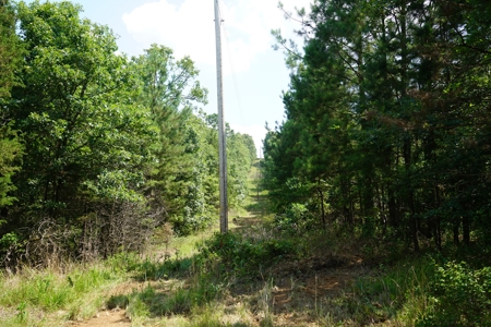Cabin Site And Homestead In Southeast Oklahoma - image 8