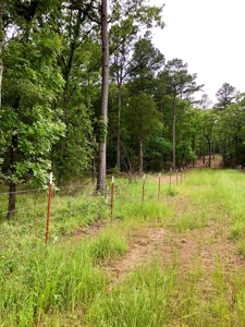 Cabin Site And Homestead In Southeast Oklahoma - image 15