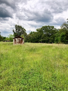 Cabin Site And Homestead In Southeast Oklahoma - image 14