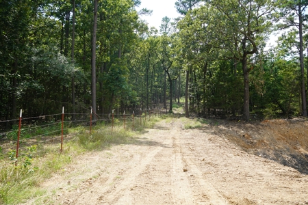 Cabin Site And Homestead In Southeast Oklahoma - image 5