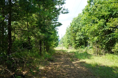 Cabin Site And Homestead In Southeast Oklahoma - image 9