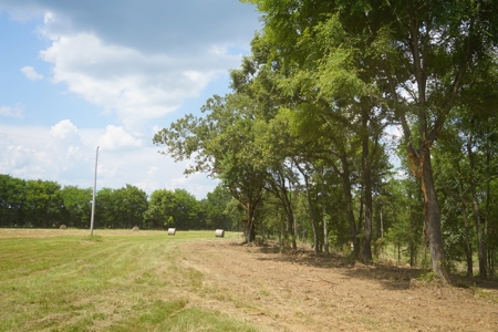 Cabin Site And Homestead In Southeast Oklahoma - image 4