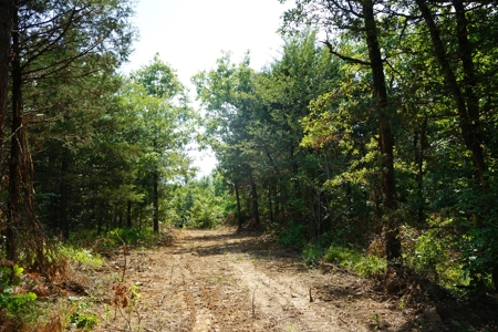 Cabin Site And Homestead In Southeast Oklahoma - image 10