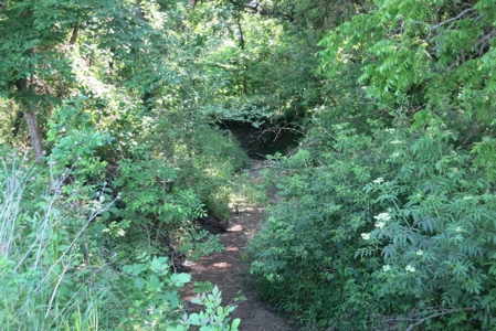 Land for Sale in Northwest Missouri - image 6