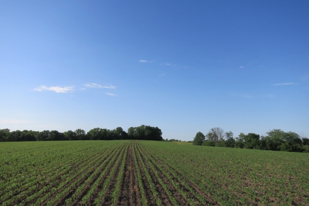 Land for Sale in Northwest Missouri - image 11