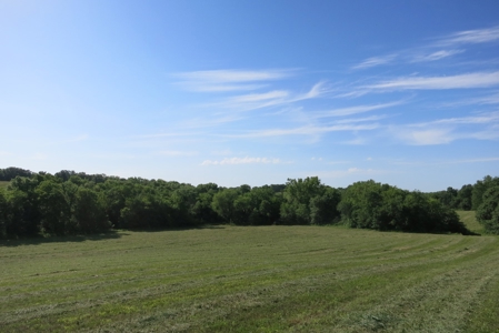 Land for Sale in Northwest Missouri - image 8