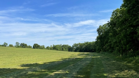 Land for Sale in Northwest Missouri - image 13