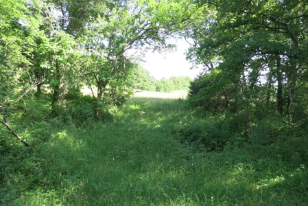 Land for Sale in Northwest Missouri - image 7
