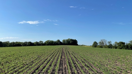 Land for Sale in Northwest Missouri - image 15
