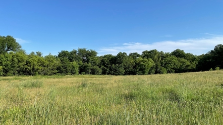 Land for Sale in Northwest Missouri - image 14