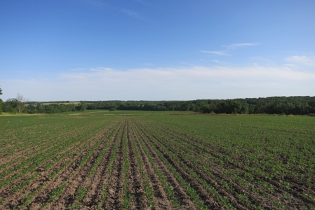 Land for Sale in Northwest Missouri - image 10