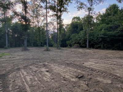 Secluded Wooded Land with Homesite in Rowan County NC - image 15