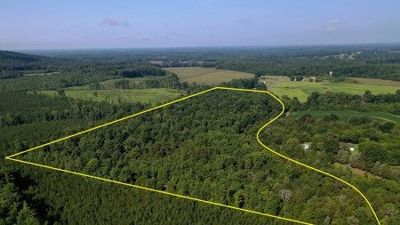 Secluded Wooded Land with Homesite in Rowan County NC - image 19