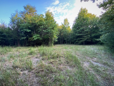 Secluded Wooded Land with Homesite in Rowan County NC - image 18