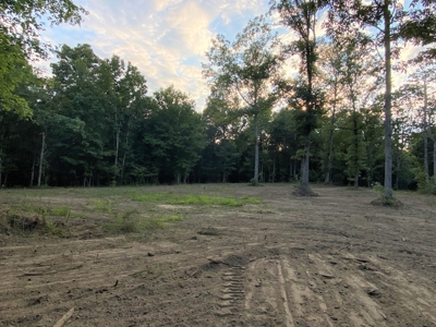 Secluded Wooded Land with Homesite in Rowan County NC - image 14