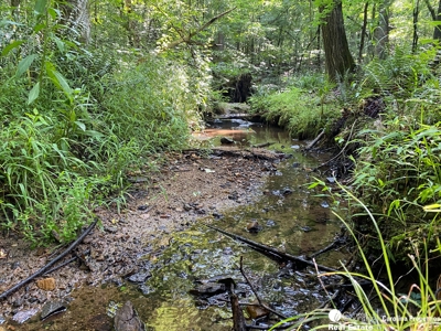Secluded Wooded Land with Homesite in Rowan County NC - image 11