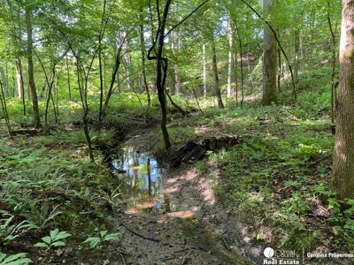 Secluded Wooded Land with Homesite in Rowan County NC - image 12