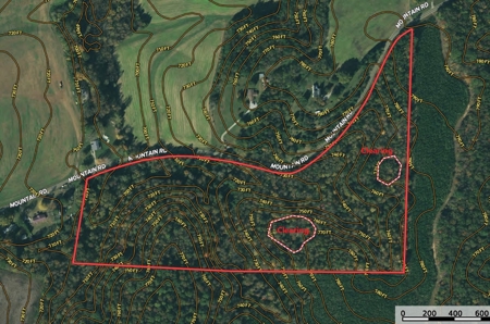 Secluded Wooded Land with Homesite in Rowan County NC - image 13