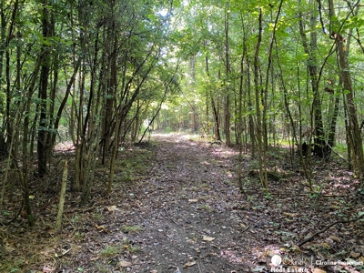 Secluded Wooded Land with Homesite in Rowan County NC - image 9