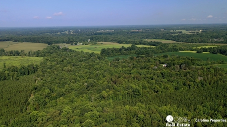 Secluded Wooded Land with Homesite in Rowan County NC - image 4