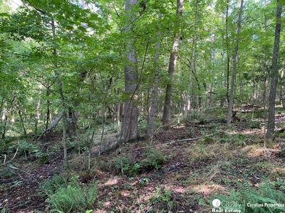 Secluded Wooded Land with Homesite in Rowan County NC - image 10
