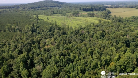 Secluded Wooded Land with Homesite in Rowan County NC - image 6