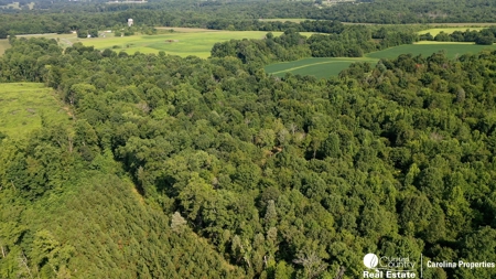 Secluded Wooded Land with Homesite in Rowan County NC - image 5