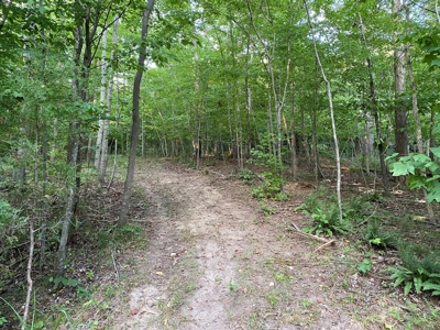 Secluded Wooded Land with Homesite in Rowan County NC - image 16