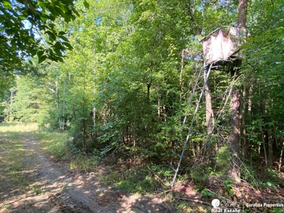 Secluded Wooded Land with Homesite in Rowan County NC - image 8