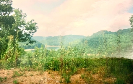 Skylar Dr Smithville TN lake view lot for sale - image 3