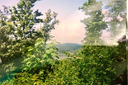 Skylar Dr Smithville TN lake view lot for sale - image 2