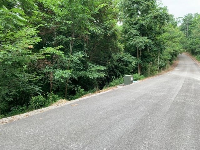 Skylar Dr Smithville TN lake view lot for sale - image 5