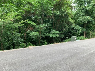 Skylar Dr Smithville TN lake view lot for sale - image 6