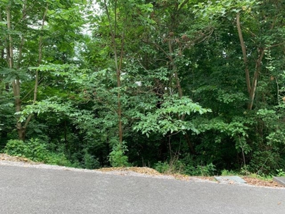 Skylar Dr Smithville TN lake view lot for sale - image 4