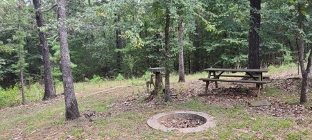 Southeasthern Oklahoma Wister Lake Cabin For Sale - image 11