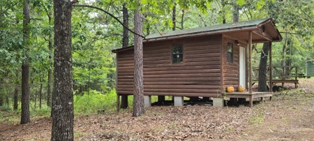 Southeasthern Oklahoma Wister Lake Cabin For Sale - image 6