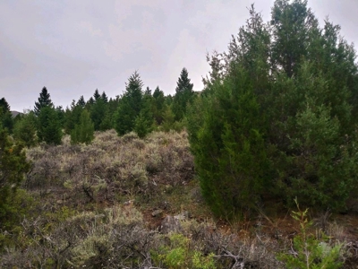 Vacant Land For Sale in Historic District - image 6