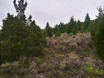 Vacant Land For Sale in Historic District - image 3