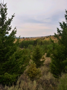 Vacant Land For Sale in Historic District - image 17