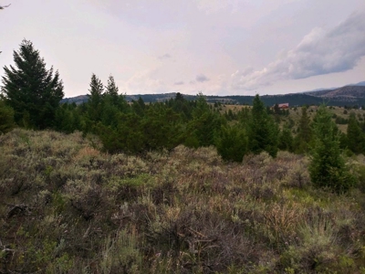 Vacant Land For Sale in Historic District - image 7