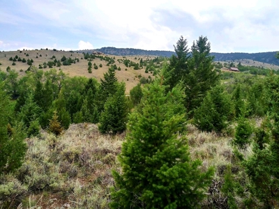 Vacant Land For Sale in Historic District - image 12