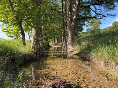 Unrestricted Land For Sale in Sisterdale Texas - image 3