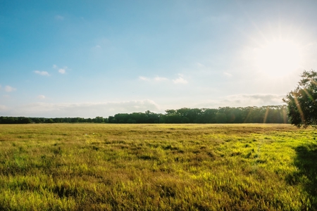 Unrestricted Land For Sale in Sisterdale Texas - image 9