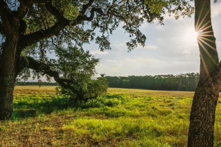 Unrestricted Land For Sale in Sisterdale Texas - image 20