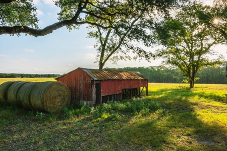 Unrestricted Land For Sale in Sisterdale Texas - image 18