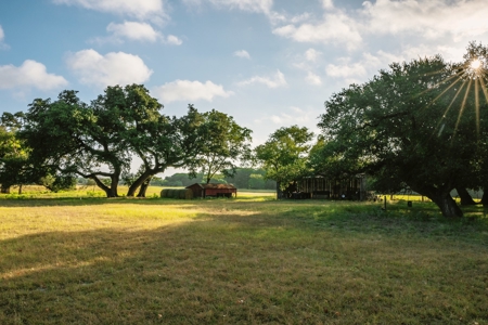 Unrestricted Land For Sale in Sisterdale Texas - image 17